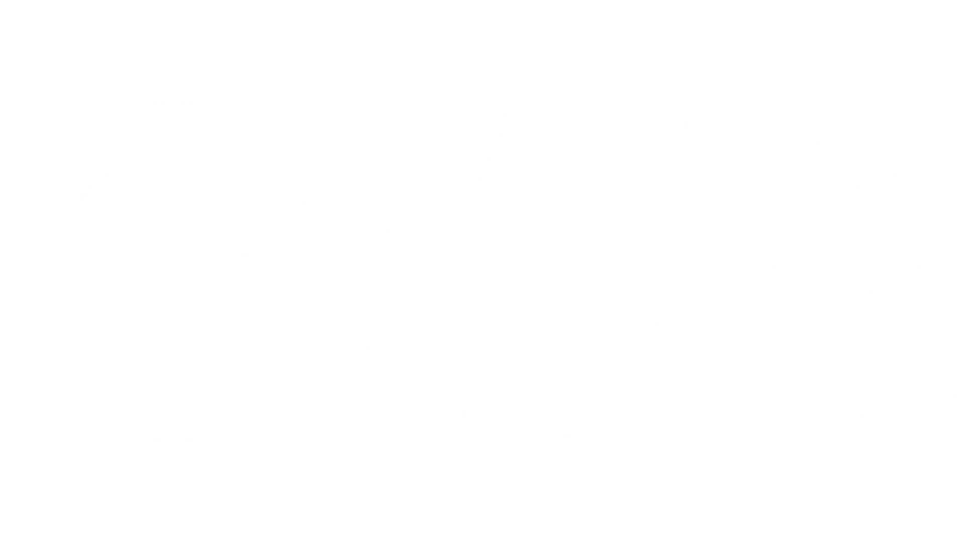 Colaborador 2
