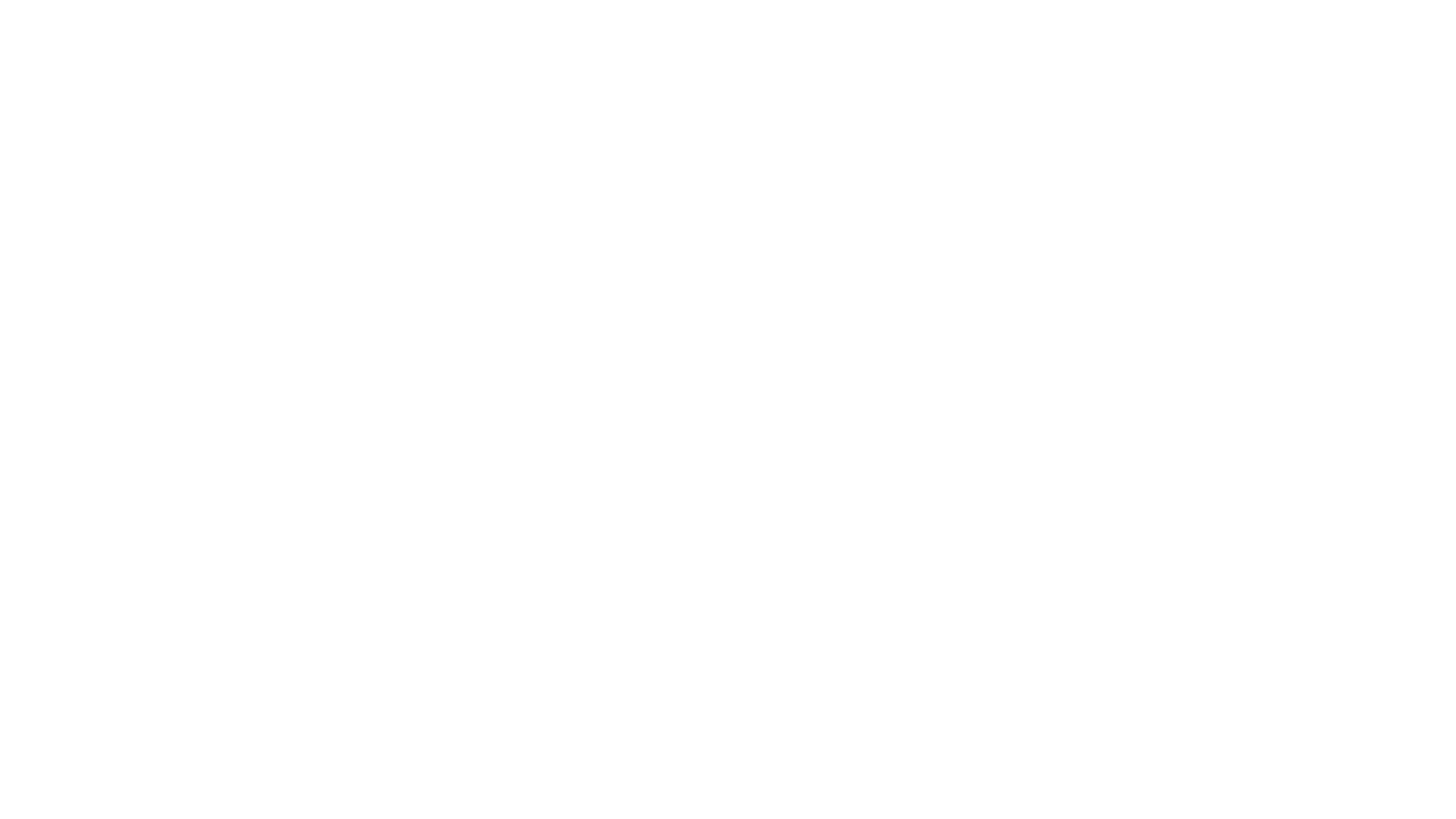 Colaborador 4