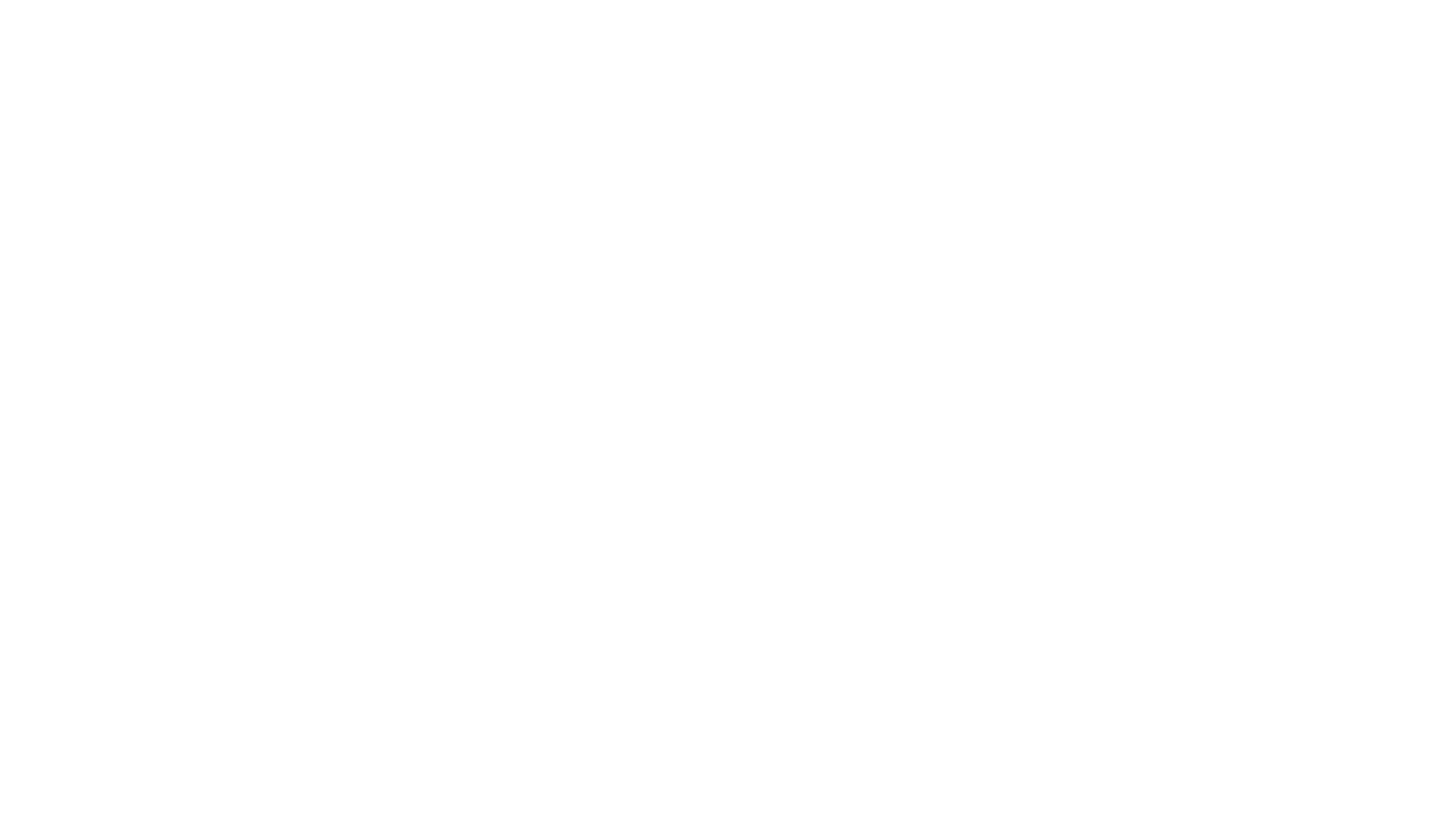 Colaborador 17
