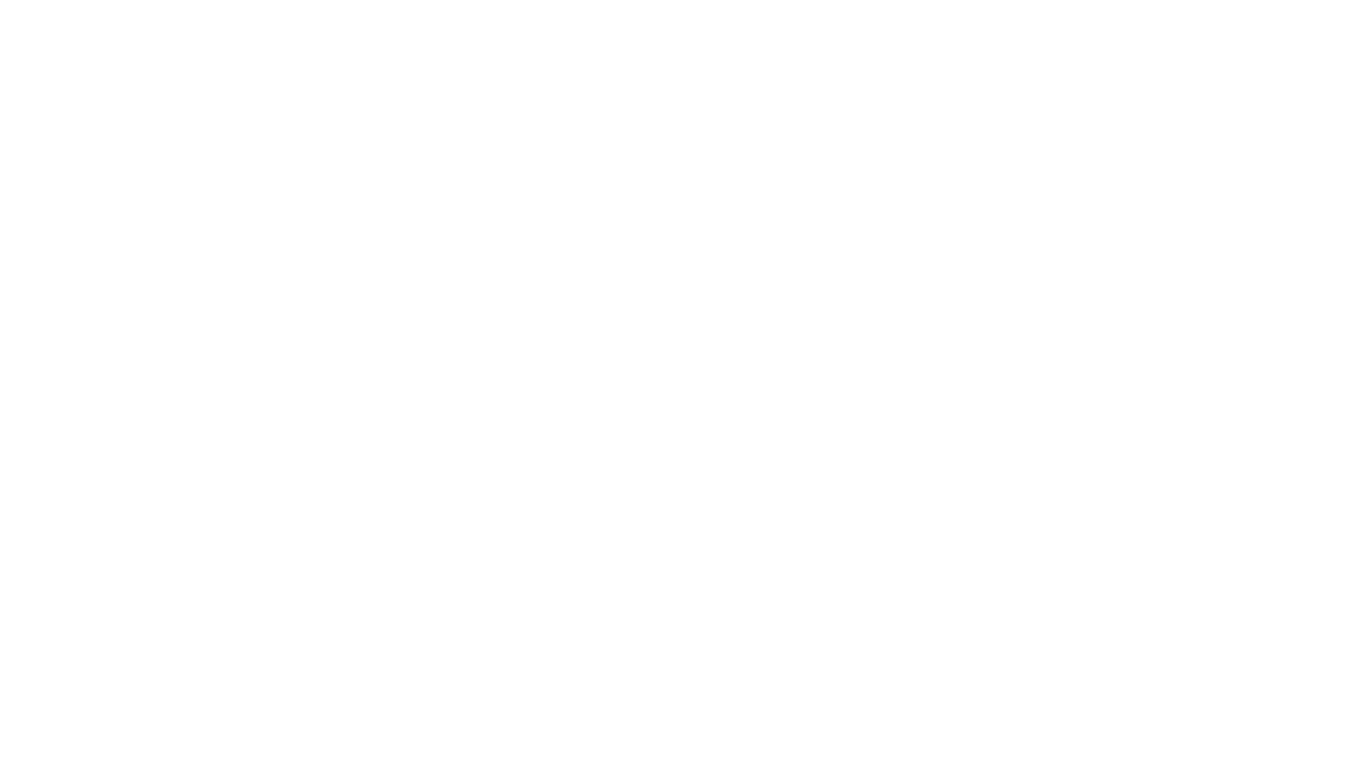 Colaborador 5
