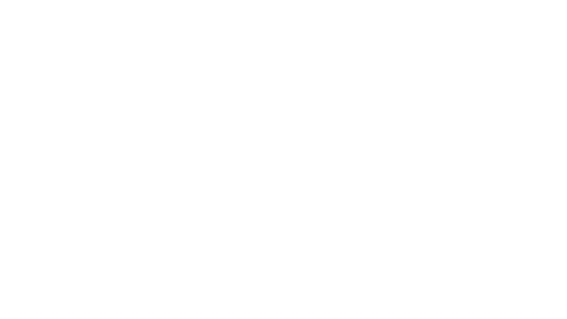 Colaborador 11